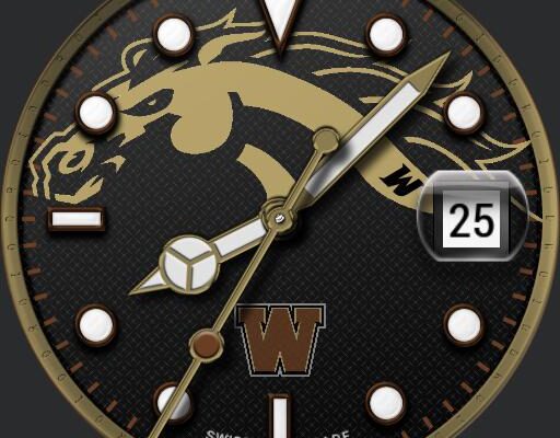 Denver Broncos • Facer: the world's largest watch face platform