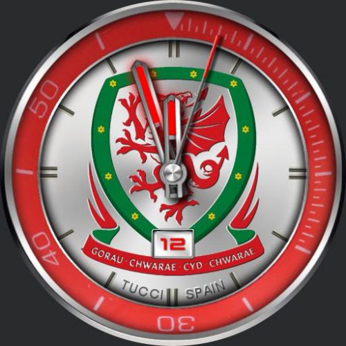 TUCCI N123 Wales National Soccer Team - WatchFaces for ...